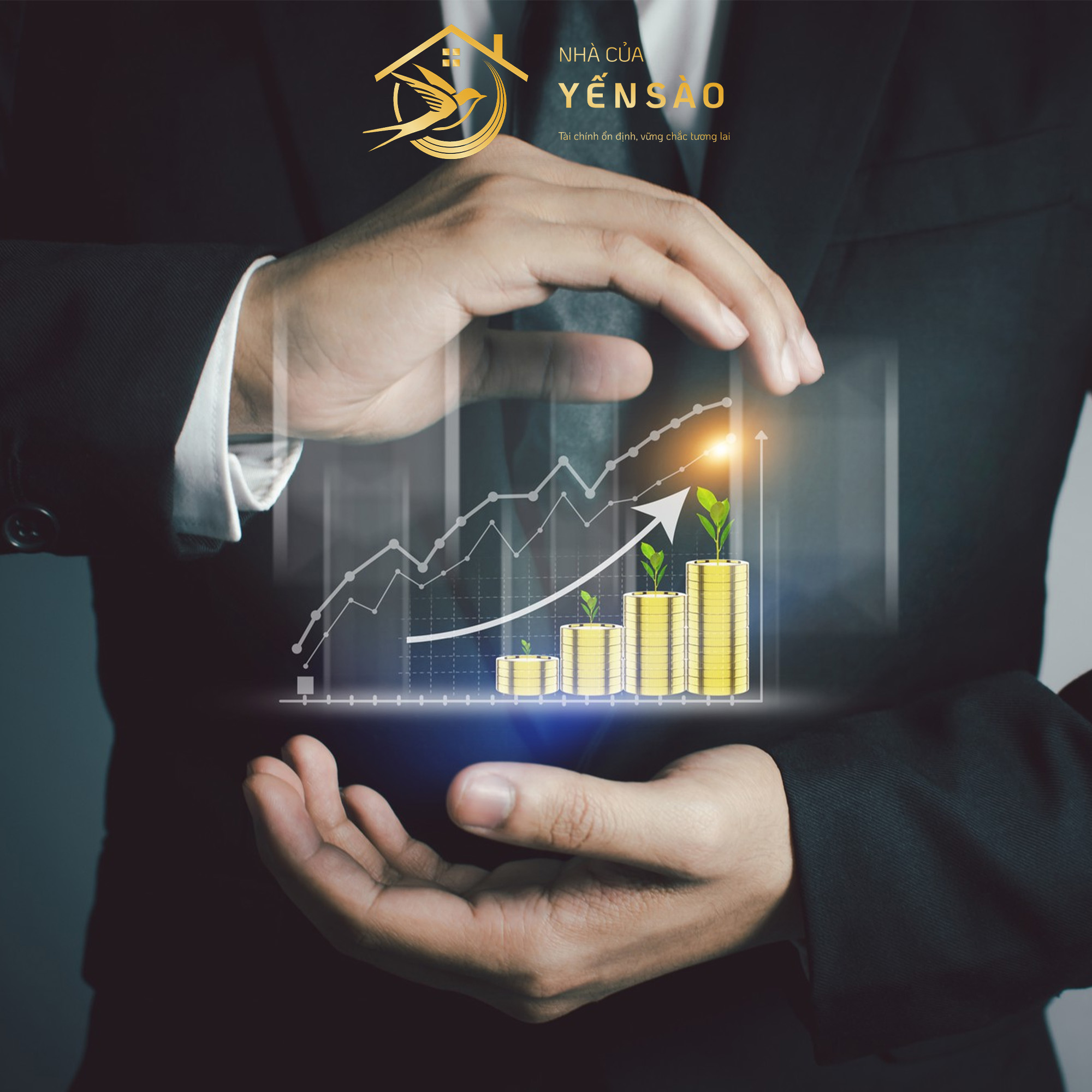 Bí Quyết Đầu Tư Yến Sào Online Thành Công: Lập Kế Hoạch Chi Tiết A-Z