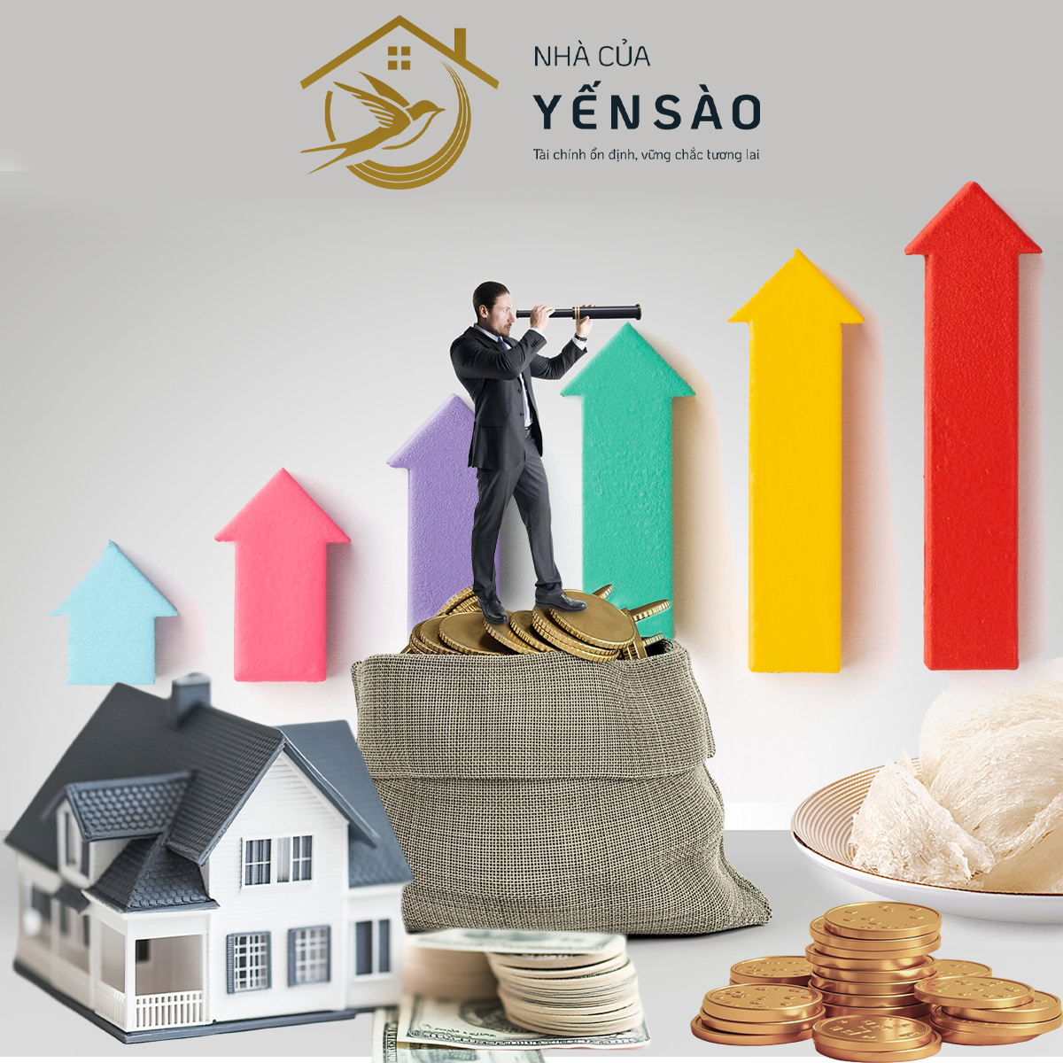 Bí Quyết "Vàng" Để Đầu Tư Yến Sào Online Thành Công